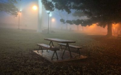 Perspectives from Picnic Point