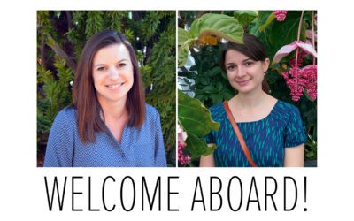 New BIAAZ Board Members