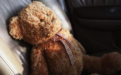 Forgetting Children in Hot Cars