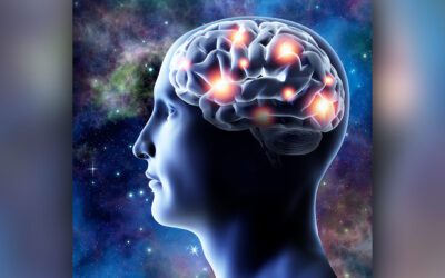 Neuroplasticity in Everyday Life