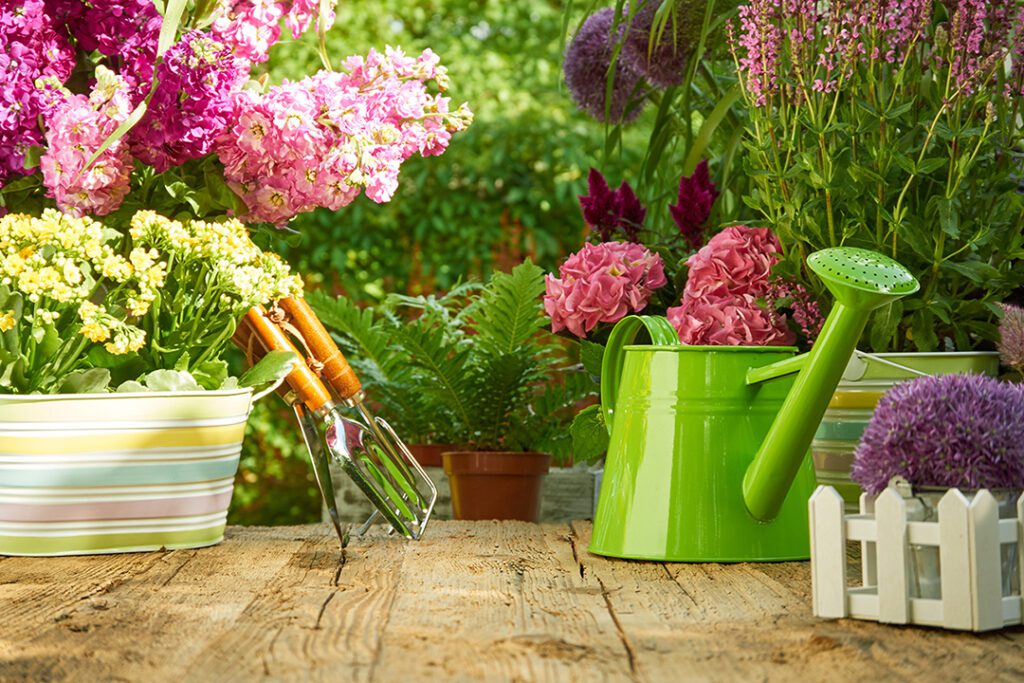 The Healing Power of Gardening