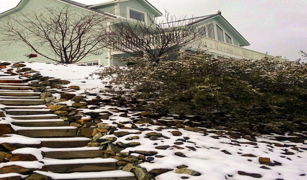Slip and Fall