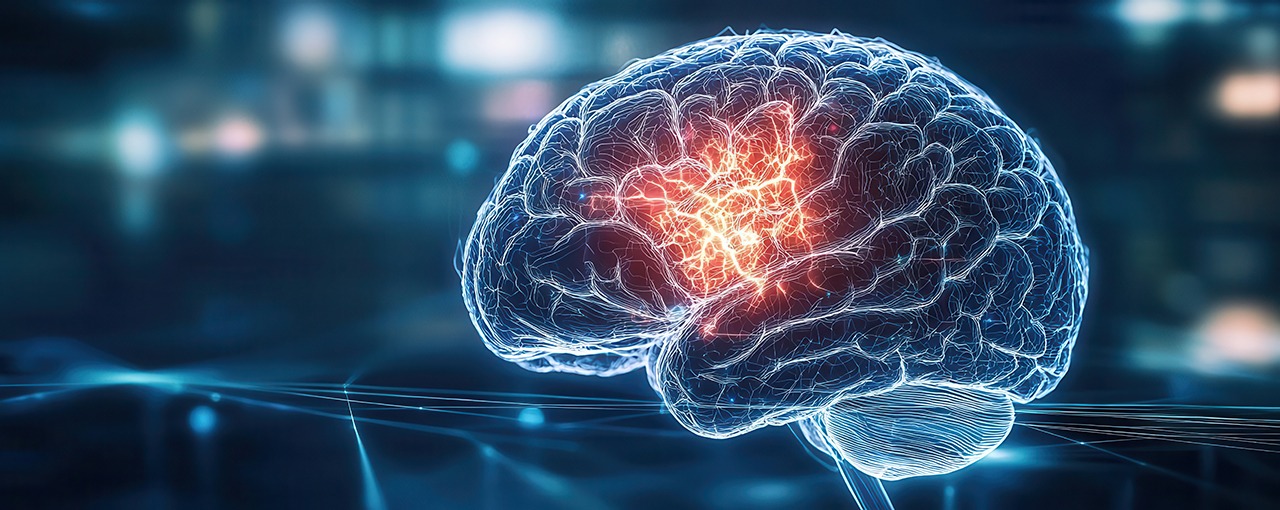 Leading the Way Professionals' Brain Health Conference