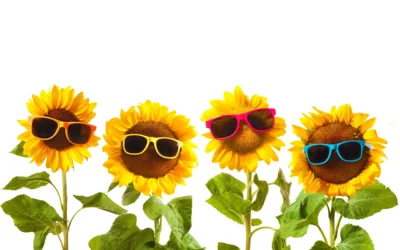 Sunflower Lanyard Cheerful Addition to Traveling with Disabilities