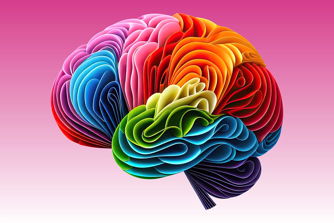 Brain Injury Basics